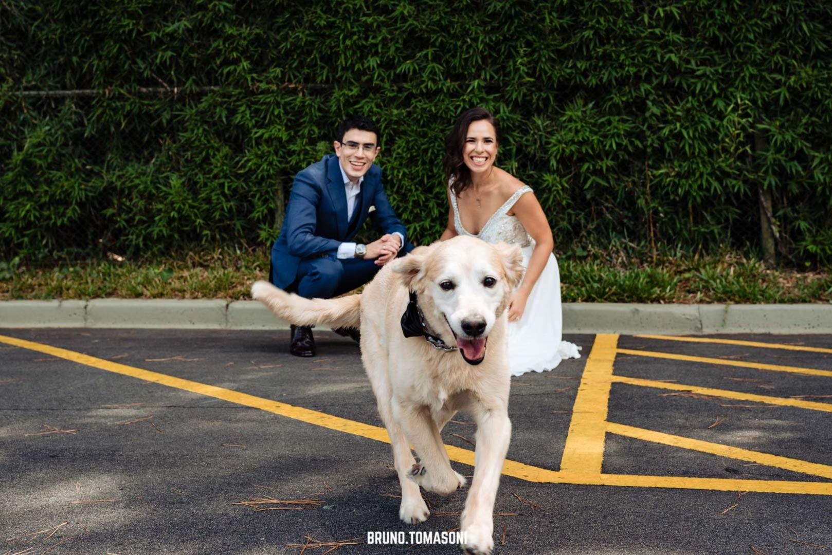 Foto Bel & Bruno Wedding - Imagem 12