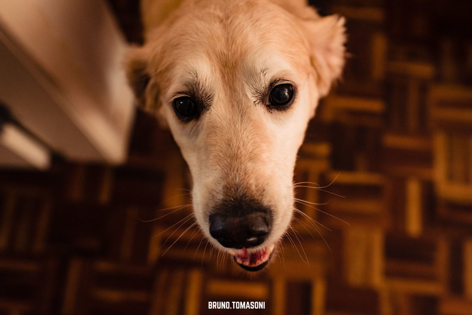 Foto Bel & Bruno Wedding - Imagem 3