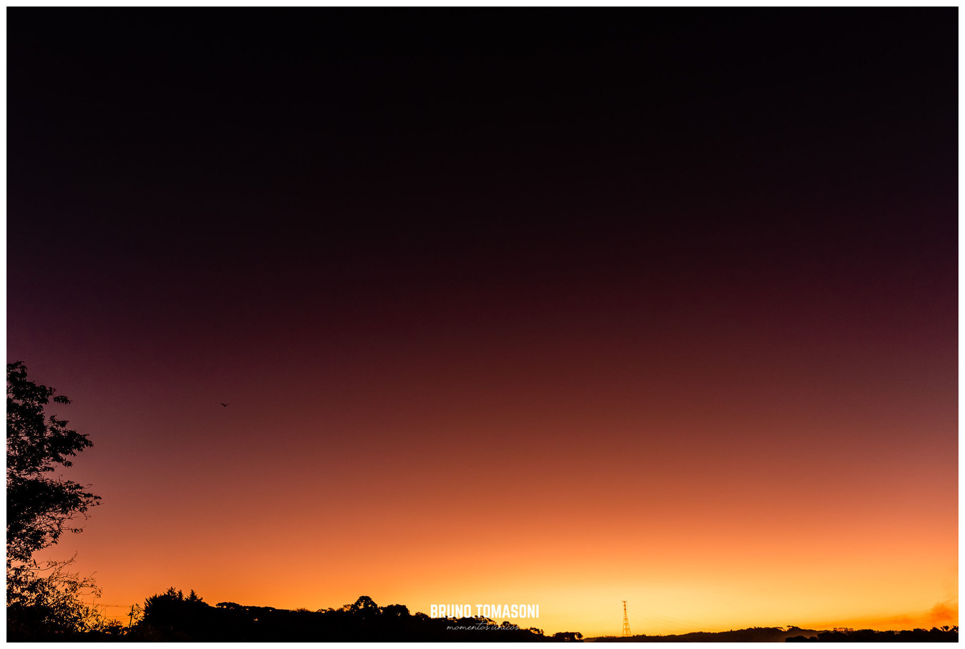 Foto Jaqueline & Paulo Casamento Civil - Imagem 22