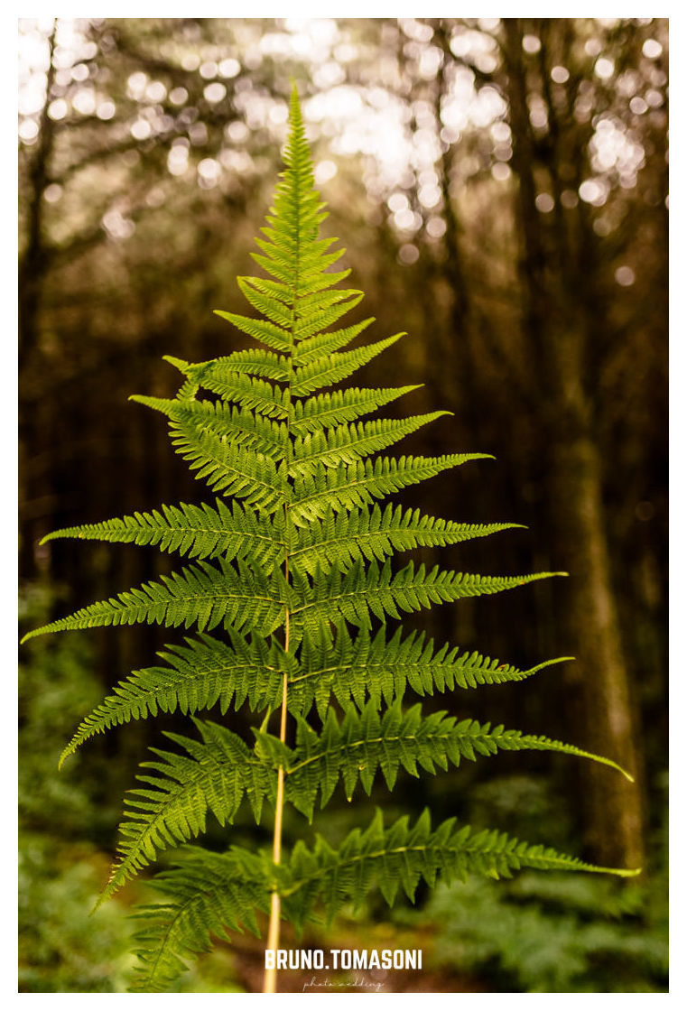 Foto Fran & Gustavo | Pré wedding - Imagem 24